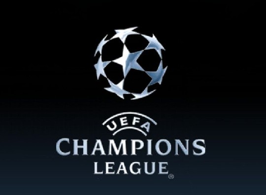 现以及森林 现以及森林